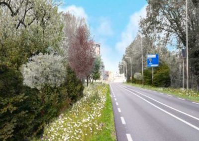 Beplantingsplan Zutphen Eefde