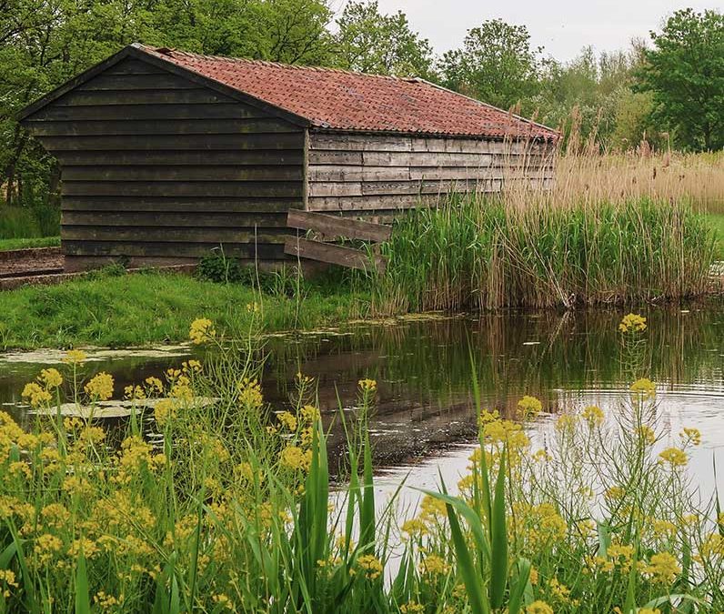 Natuurnetwerk Nederland