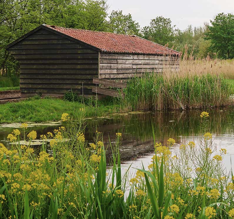 Natuurnetwerk Nederland