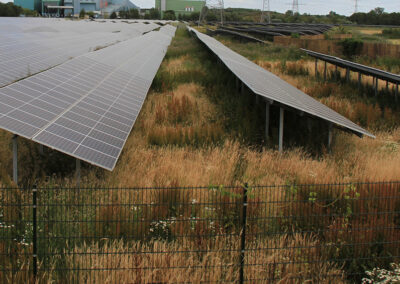 Biodivers zonneveld