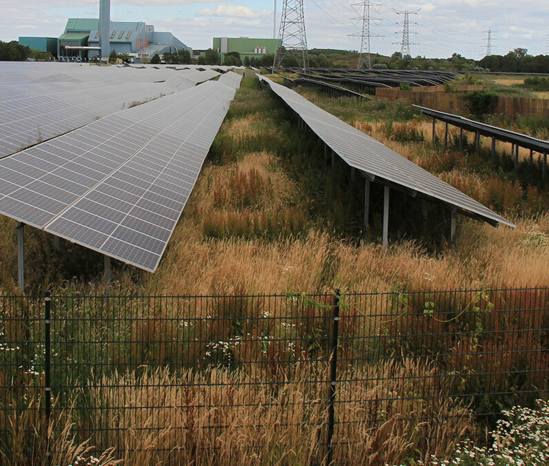 Biodivers zonneveld