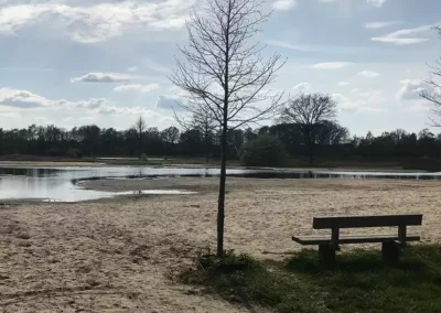 Natuurherstel Natura 2000-gebied