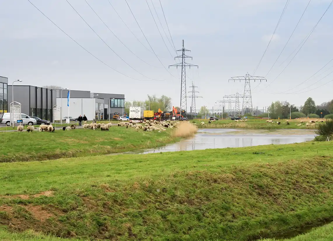 Vergroening bedrijventerreinen Eelerwoude
