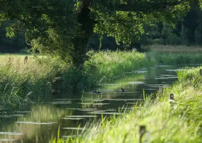 Methodiek Basiskwaliteit Natuur voor Overijssel