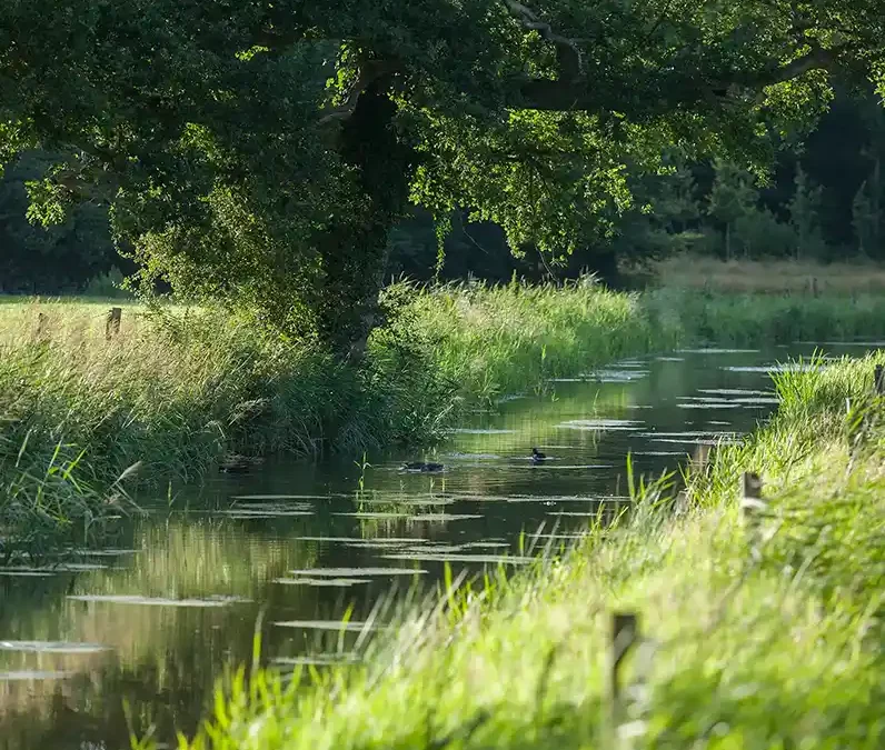Methodiek Basiskwaliteit Natuur voor Overijssel