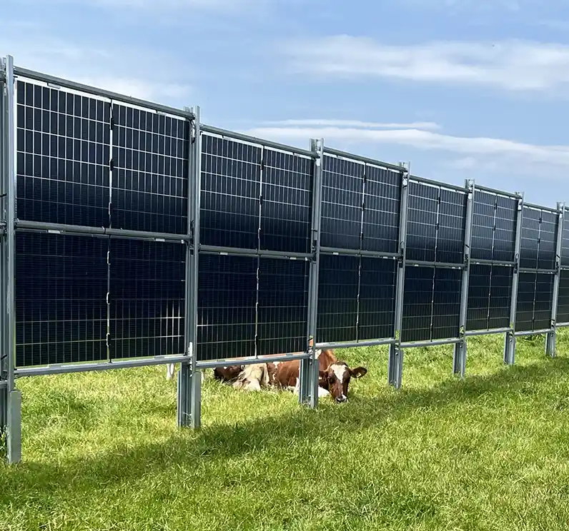 zonnesystemen melkveehouderij