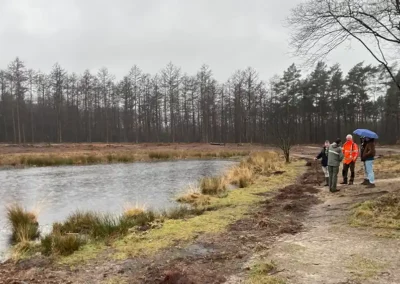 Herstelmaatregelen zure vennen