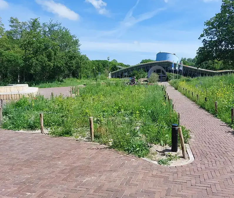 Gebiedsvisie herinrichting omgeving bezoekerscentrum