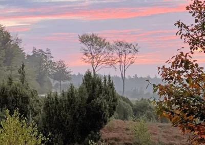 Heideherstel op de Lemelerberg