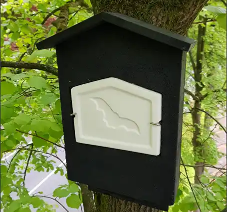 Woningen verduurzamen met een soortmanagementplan