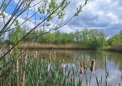 Van grasland naar groene bufferzone