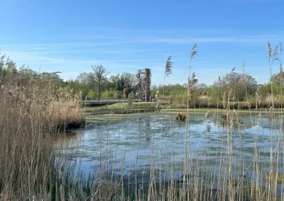 Slim waterbeheer met ecologische meerwaarde