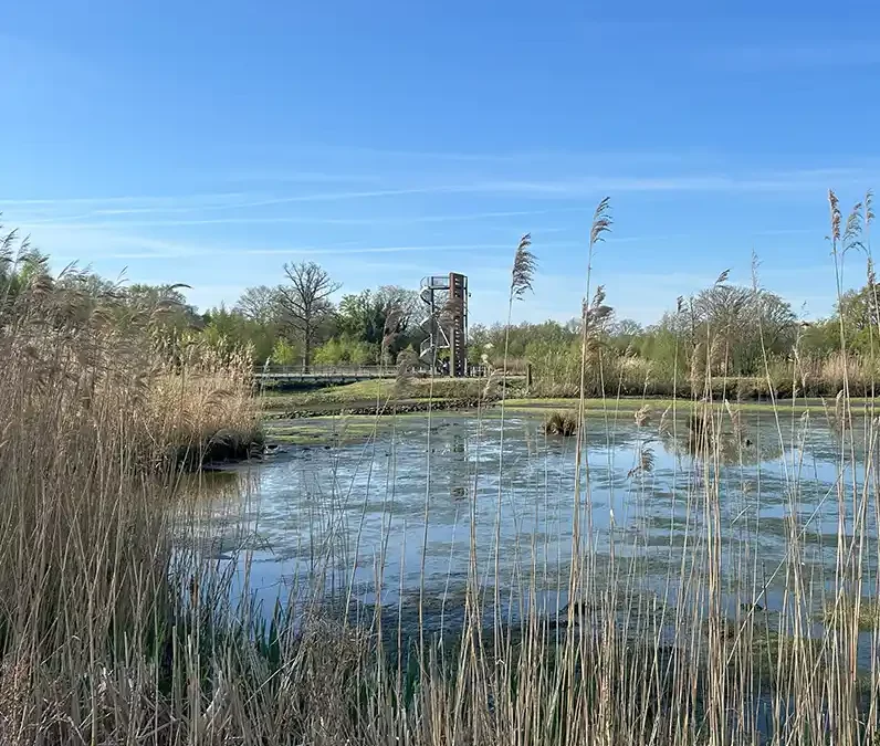 Slim waterbeheer met ecologische meerwaarde