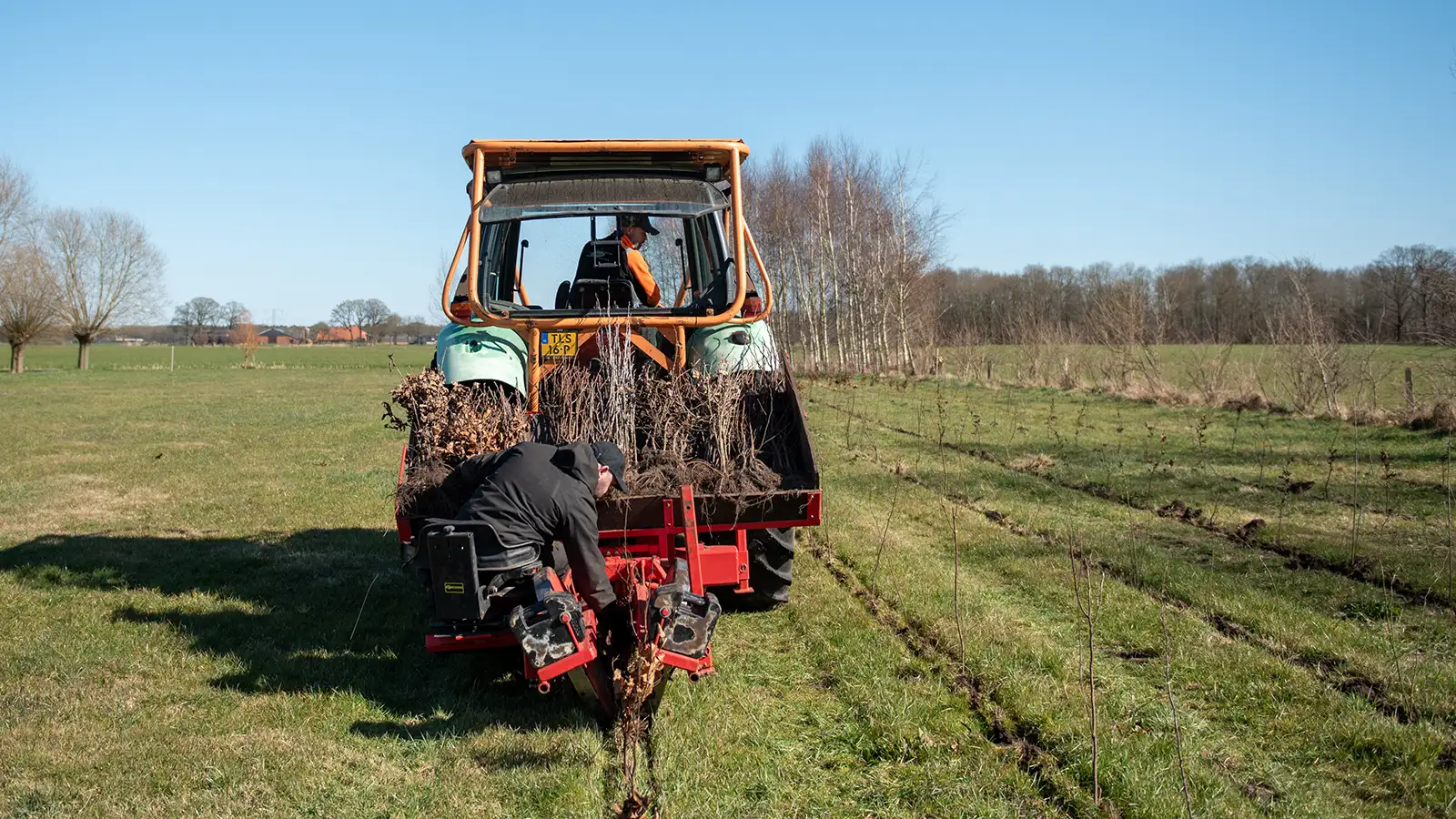 Bossenstrategie helpt bij particuliere bosaanleg
