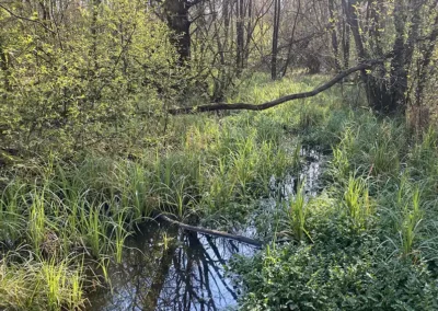 Kwelwater terug op historisch landgoed