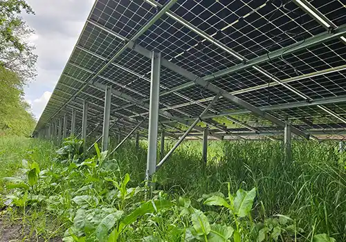 Balans tussen zonne-energie en bodemkwaliteit in zonneparken