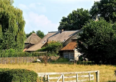 Praktische BKN-methode voor natuurherstel