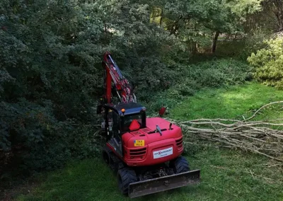 Bosdunning voor een vitaal stadsbos