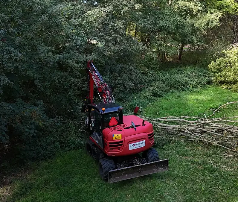 Bosdunning voor een vitaal stadsbos