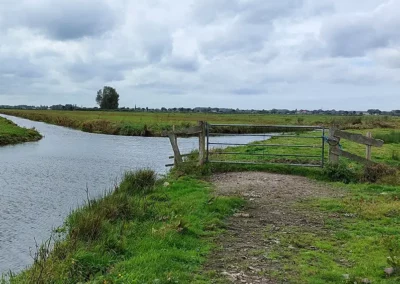 Maatregelen tegen pitrus in De Wilck
