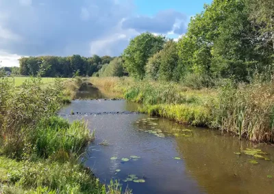 Ecologische verbindingen meetbaar maken voor beter beleid