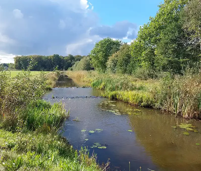 Ecologische verbindingen objectief beoordelen