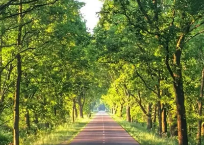 Van fietspad naar ecologische verbinding
