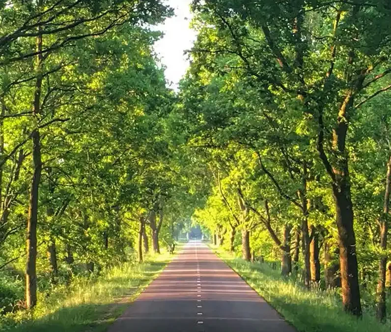 Van fietspad naar ecologische verbinding