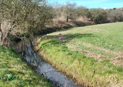 Herstel van natuur en erfgoed in de binnenduinrand