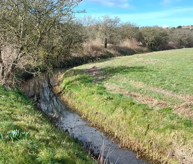 Herstel van natuur en erfgoed in de binnenduinrand