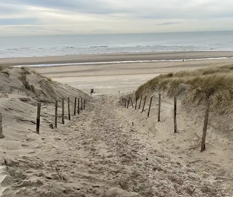 Strandopgang verplaatst, natuur versterkt