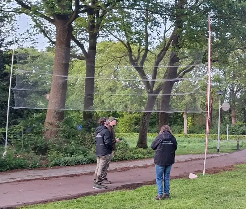 Op zoek naar de geheime verblijfplaatsen van de laatvlieger