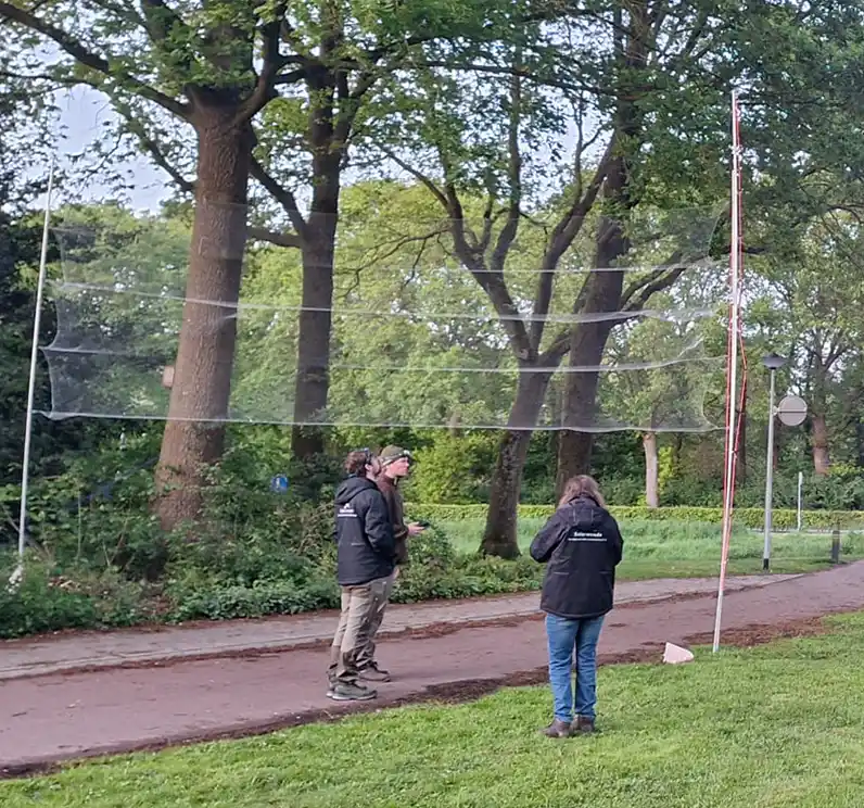 Op zoek naar de geheime verblijfplaatsen van de laatvlieger